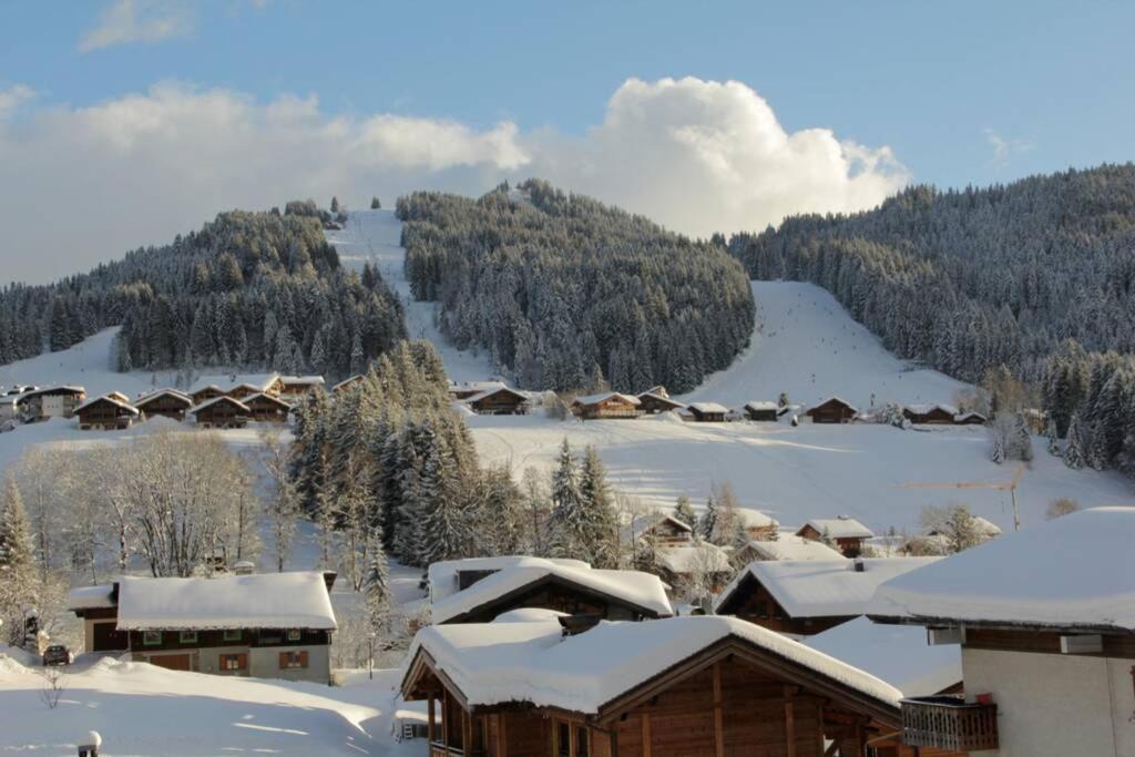 Bel App Aux Gets 10Mn Centre Ski Parking Tennis Prive Les Gets Εξωτερικό φωτογραφία